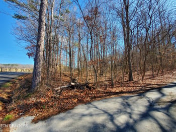 0 Lester Jarnigan Rd, Rutledge, TN 37861