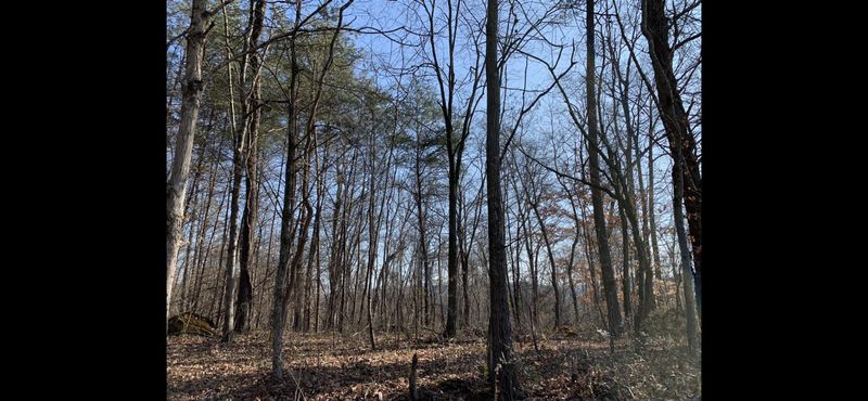 0 Lewallen Hollow Ln, Clinton, TN 37716
