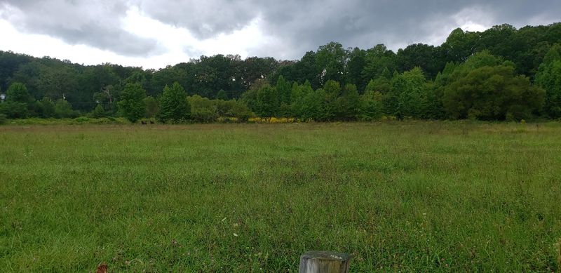 0 Liberty Rd, Wartburg, TN 37887
