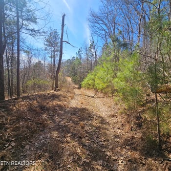 0 Lick Creek Rd, Tellico Plains, TN 37385