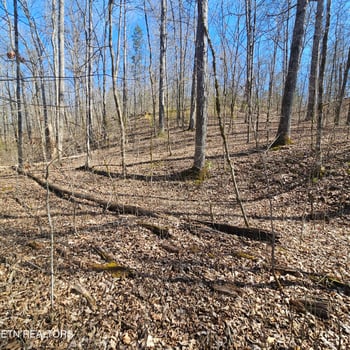 0 Lick Creek Rd, Tellico Plains, TN 37385
