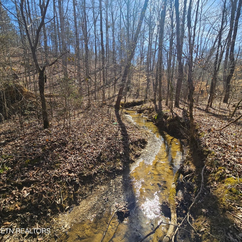 0 Lick Creek Rd, Tellico Plains, TN 37385