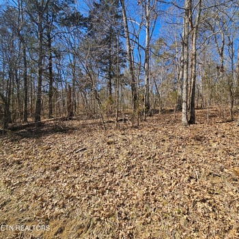 0 Lick Creek Rd, Tellico Plains, TN 37385