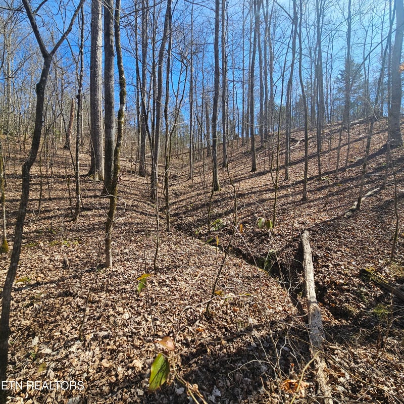 0 Lick Creek Rd, Tellico Plains, TN 37385