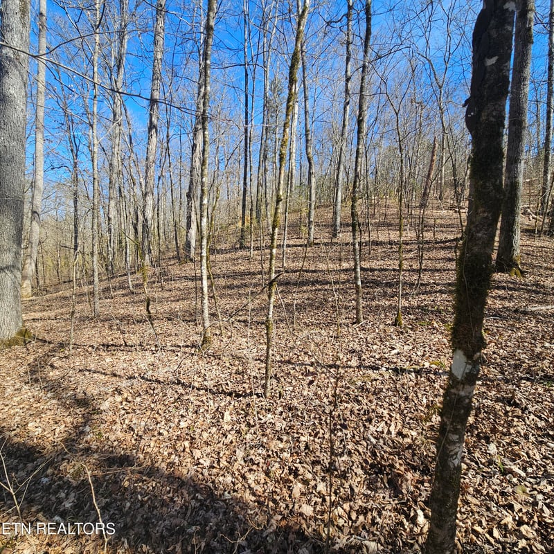 0 Lick Creek Rd, Tellico Plains, TN 37385