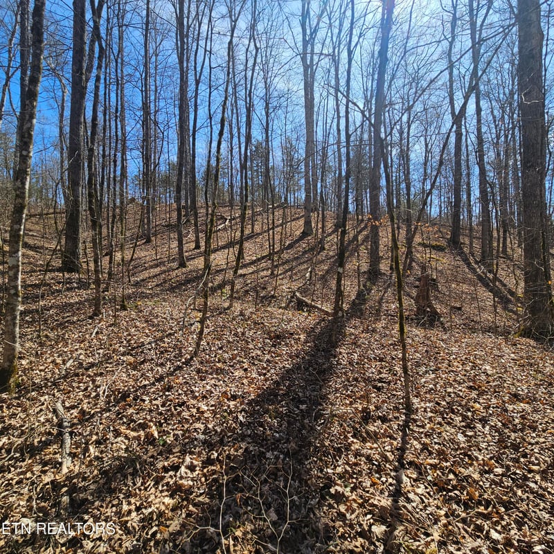 0 Lick Creek Rd, Tellico Plains, TN 37385