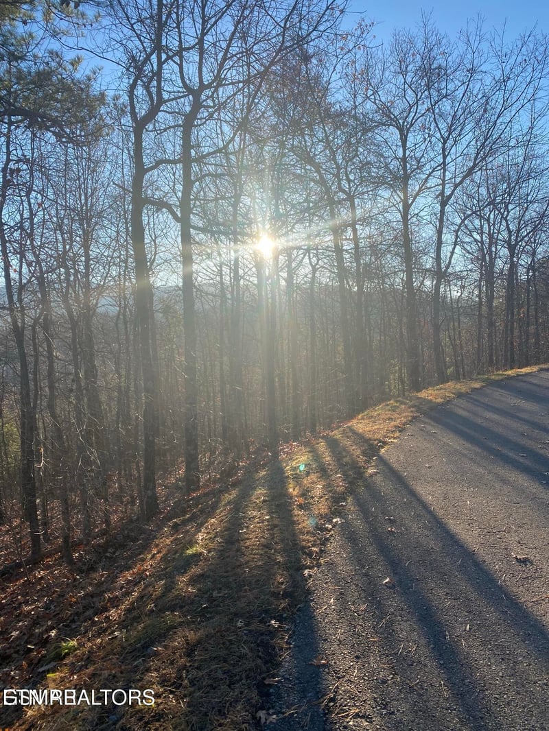 0 Lightning Bug Way #D 7, Gatlinburg, TN 37738