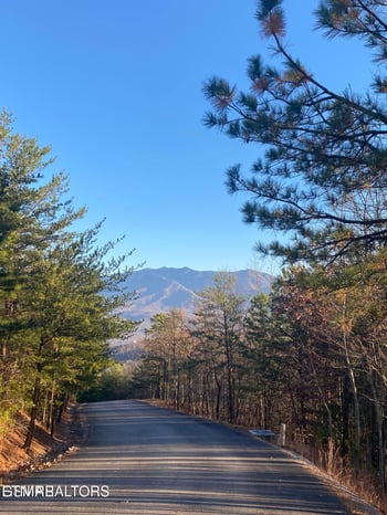 0 Lightning Bug Way #D 7, Gatlinburg, TN 37738