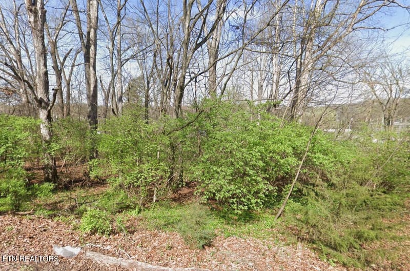 0 Lilac Ave, Knoxville, TN 37914