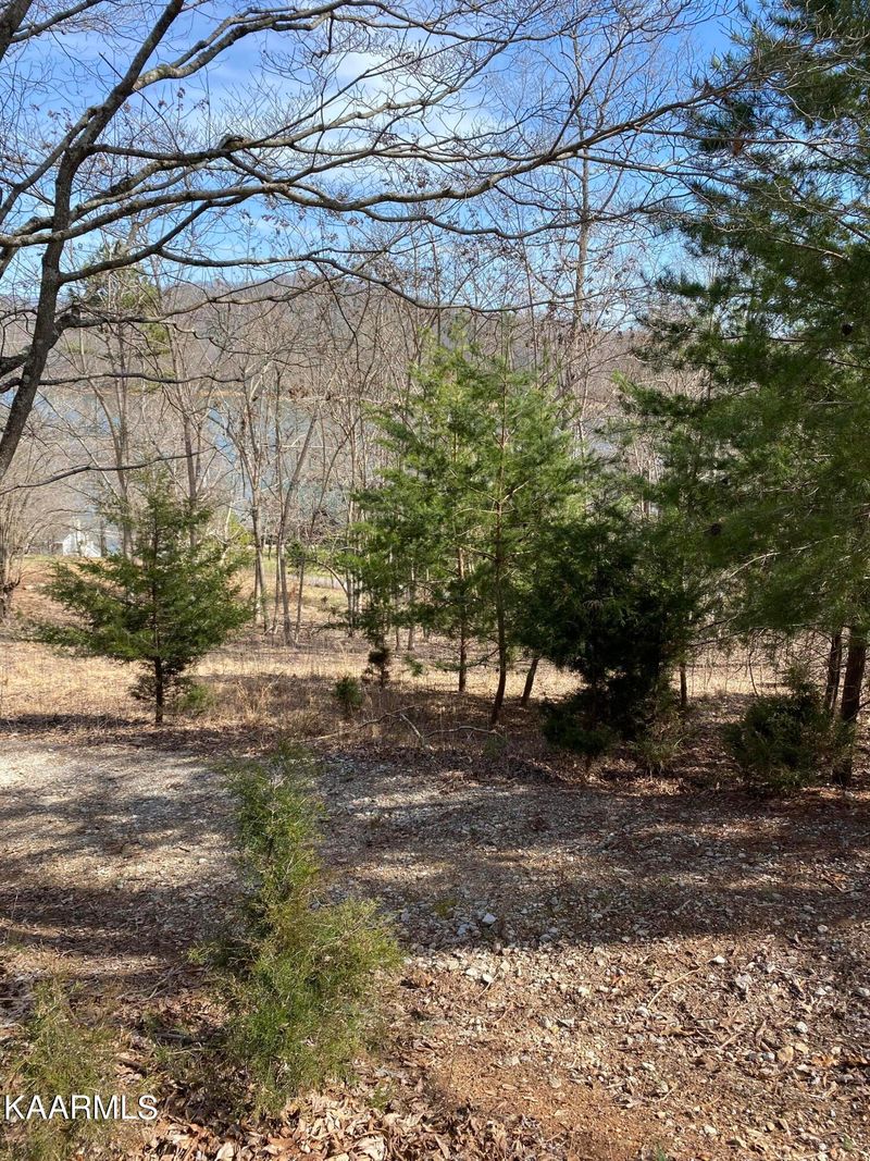 0 Little Buck Ln, Lafollette, TN 37766