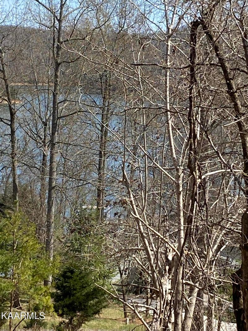 0 Little Buck Ln, Lafollette, TN 37766