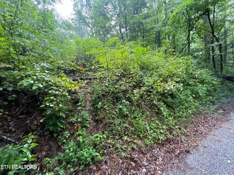 0 Little Cove Rd Off, Sevierville, TN 37862