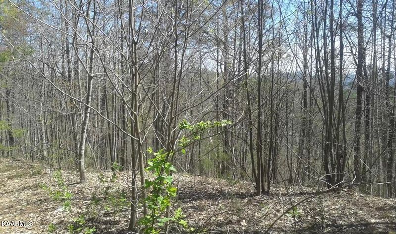 0 Little Cove Rd, Sevierville, TN 37862