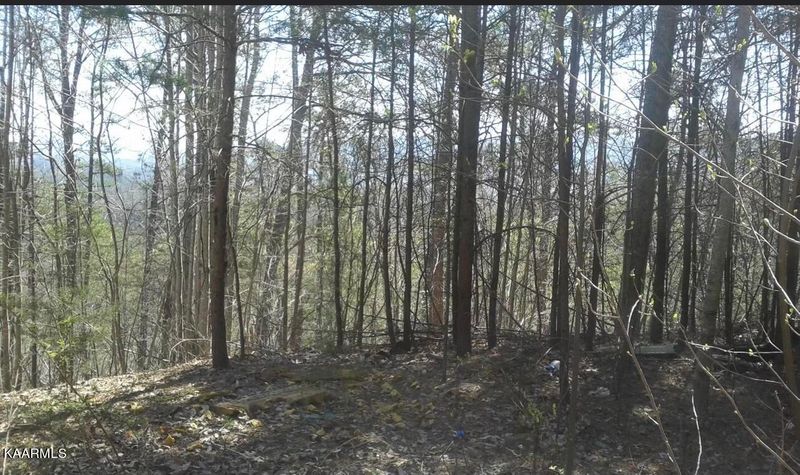 0 Little Cove Rd, Sevierville, TN 37862