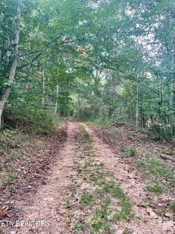 0 Little Dogwood Valley Rd, Kingston, TN 37763