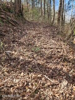 0 Little Elk Creek Rd, Pioneer, TN 37847