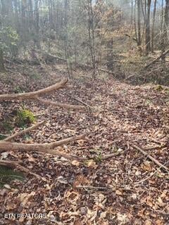 0 Little Elk Creek Rd, Pioneer, TN 37847