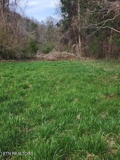 0 Little Elk Creek Rd, Pioneer, TN 37847