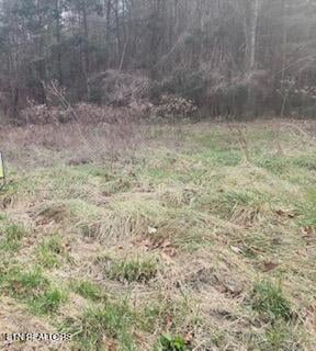 0 Little Elk Creek Rd, Pioneer, TN 37847