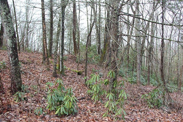 0 Little Round Top Ln, Townsend, TN 37882