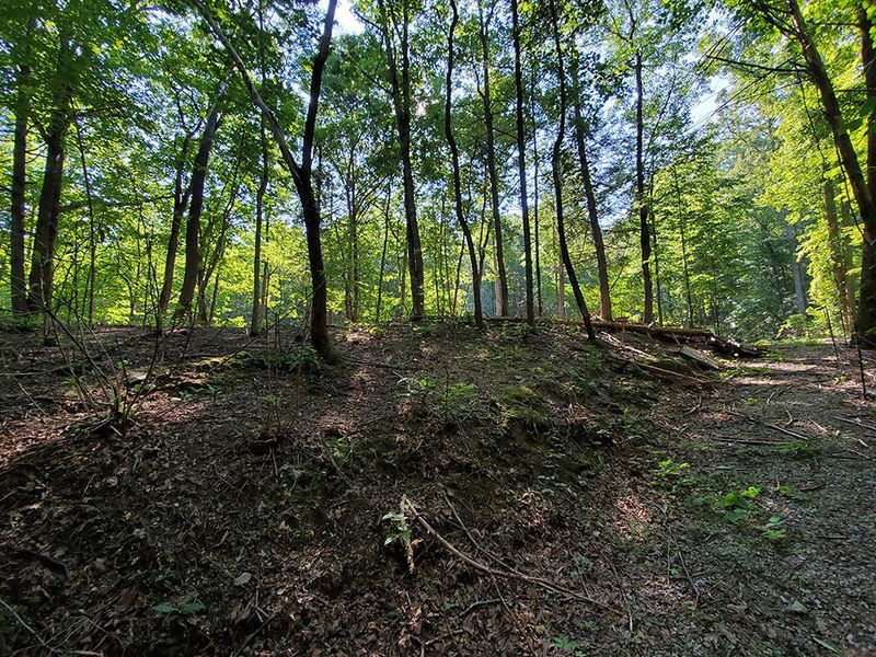 0 Little Round Top Ln, Townsend, TN 37882