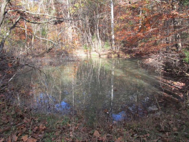 0 Little Valley, Blaine, TN 37709