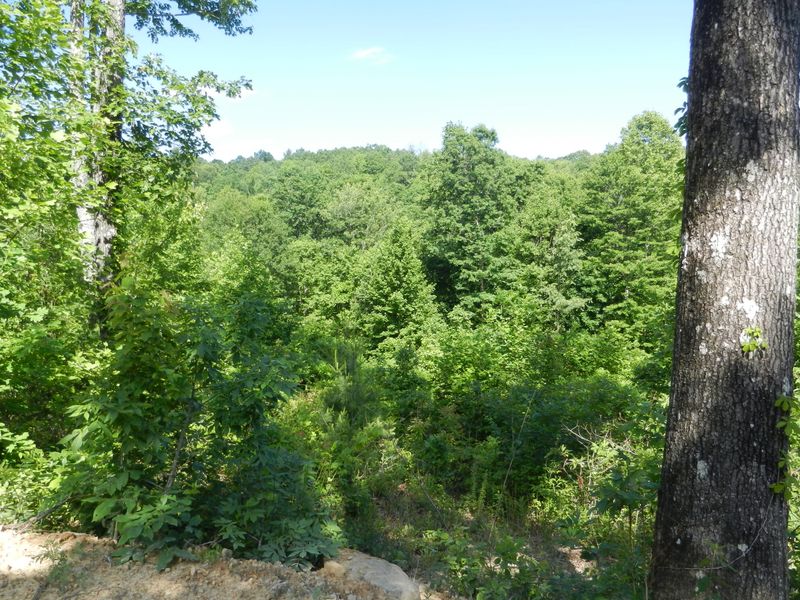 0 Litton Rd, Oneida, TN 37841
