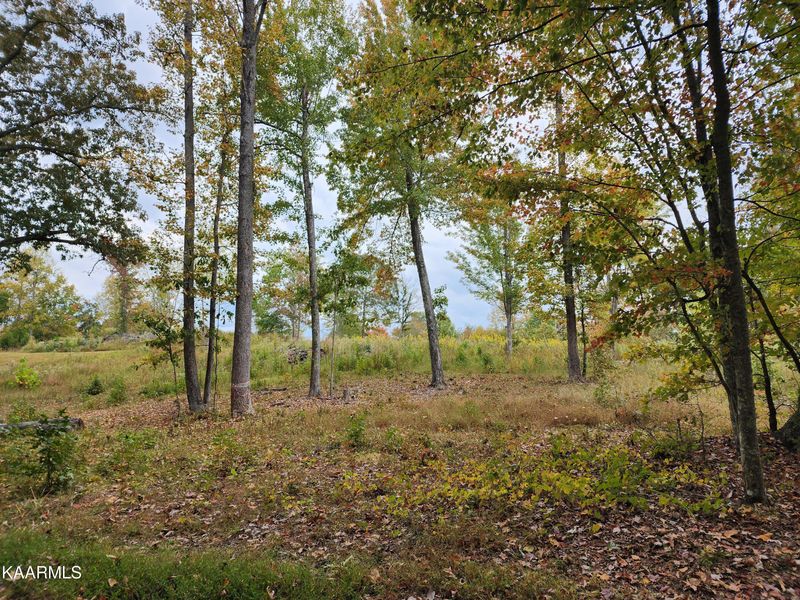 0 Loch Haven, Rockwood, TN 37854