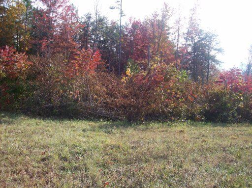 0 Locust Grove Rd, Washburn, TN 37888
