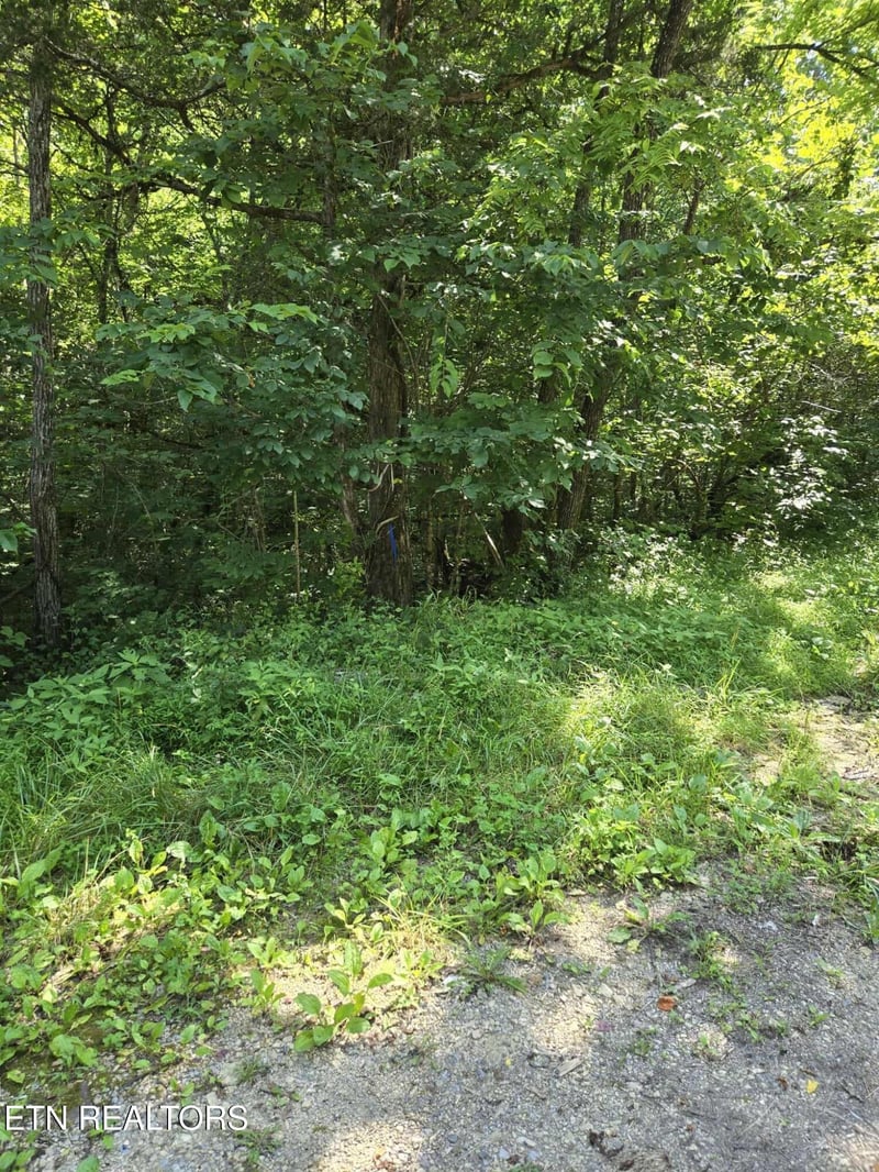 0 Log Mountain Rd, Washburn, TN 37888