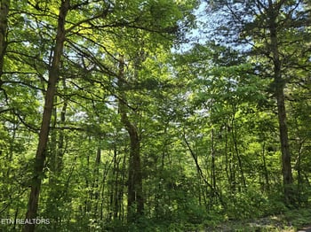 0 Log Mountain Rd, Washburn, TN 37888