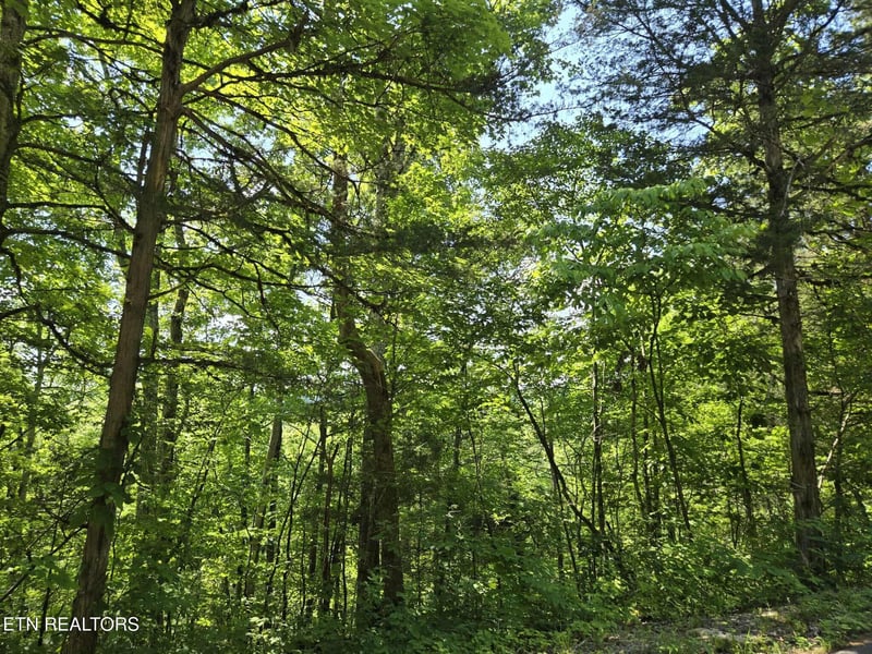 0 Log Mountain Rd, Washburn, TN 37888