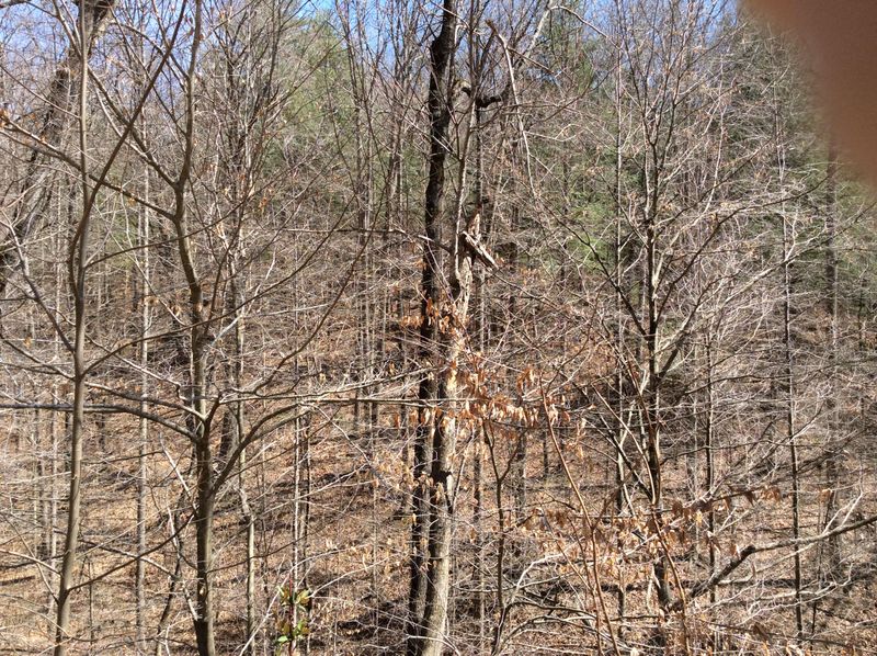 0 Logus Dr, Harriman, TN 37748