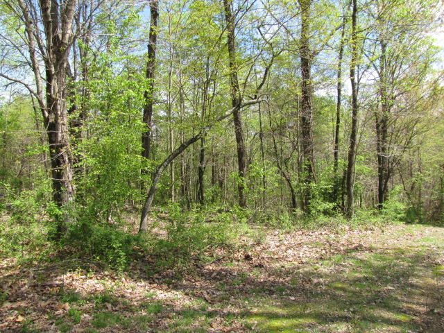 0 Logus Dr / Oslo Ln, Harriman, TN 37748