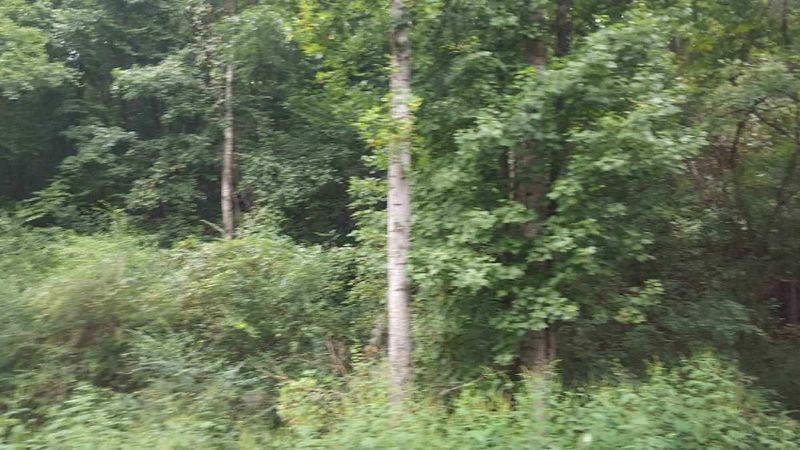 0 Lone Mountain Rd, Andersonville, TN 37705