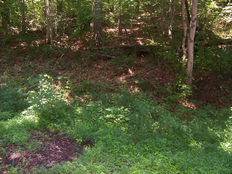 0 Lonesome Dove Rd, Powell, TN 37849