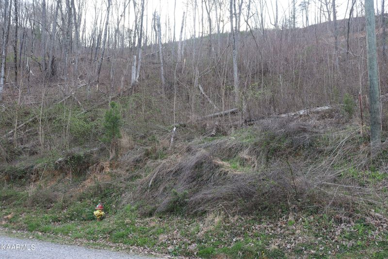 0 Lonesome Pine Way Lot 17, Sevierville, TN 37862