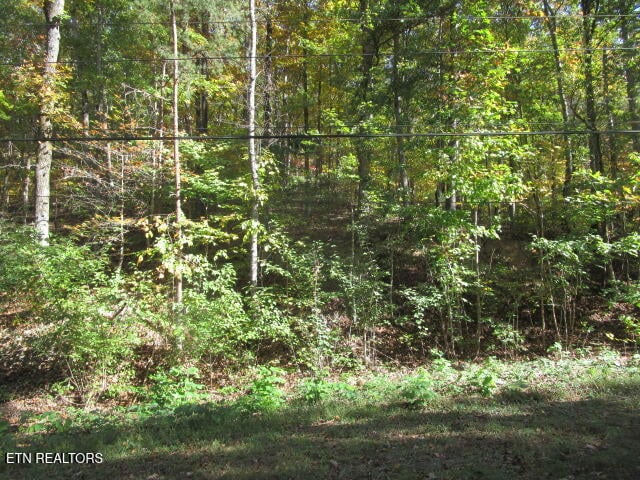 0 Long Acres, Blaine, TN 37709