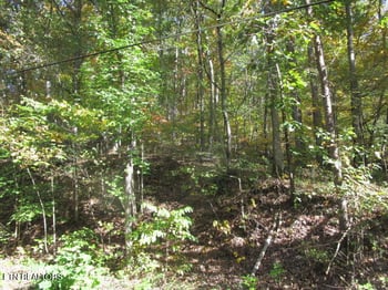0 Long Acres, Blaine, TN 37709