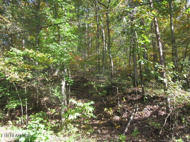 0 Long Acres, Blaine, TN 37709
