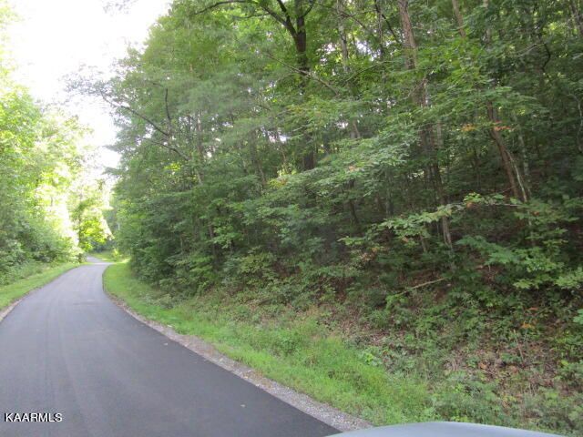 0 Long Acres Rd, Blaine, TN 37709
