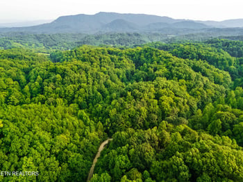 0 Long Branch Rd, Seymour, TN 37865