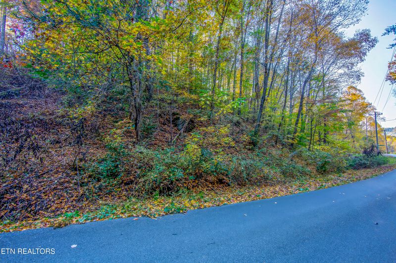 0 Long Hollow Rd, Sevierville, TN 37876