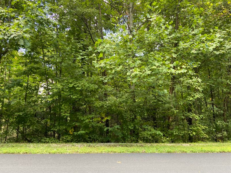 0 Long Rifle Lot 119 Rd, Sevierville, TN 37862