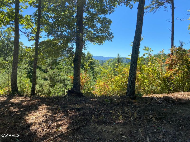 0 Longhunter Lot 64 65 66 & 67 Ln, Sevierville, TN 37862