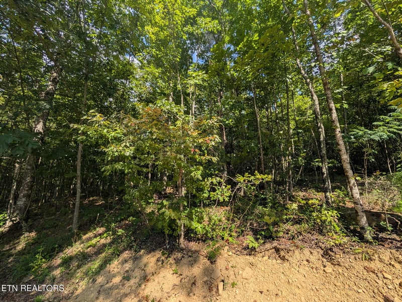 0 Lookout Drive Lot 63, Crossville, TN 38572