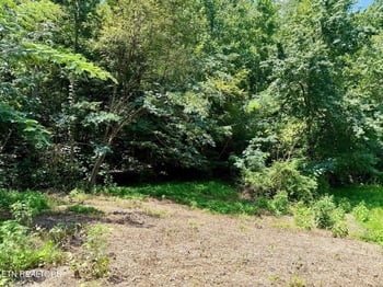 0 Lot 0000 Ogle Dr, Pigeon Forge, TN 37863