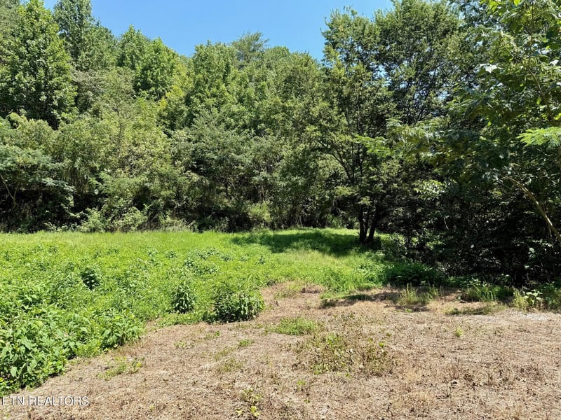 0 Lot 0000 Ogle Dr, Pigeon Forge, TN 37863