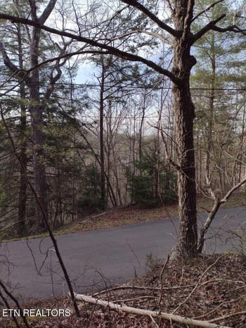 0 Lot 0000 Ogle Dr, Pigeon Forge, TN 37863