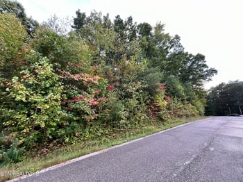 0 Lot 1 Evergreen Dr, Oneida, TN 37841